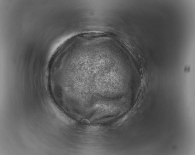 X0000112210342200908211524