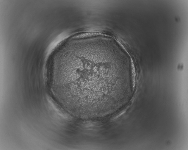 X0000112210343200908211524