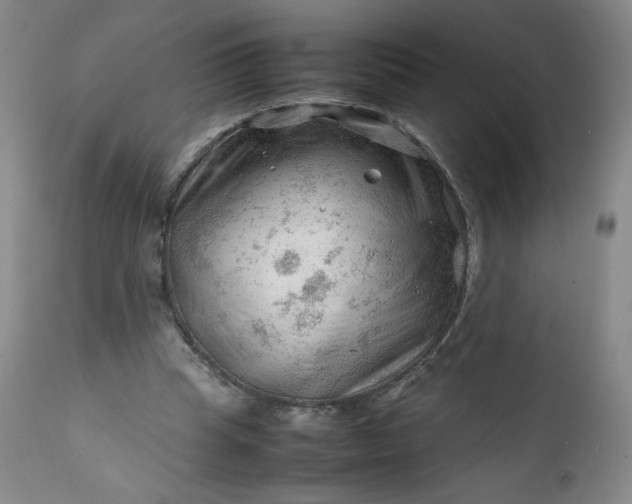 X0000112210345200908211524