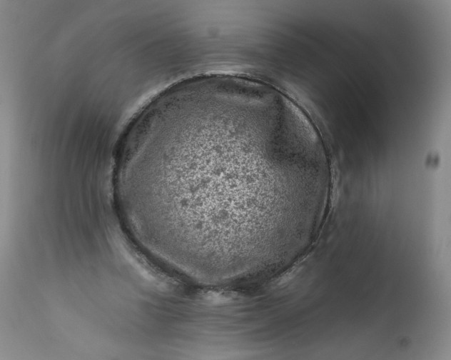 X0000112210346200908211524