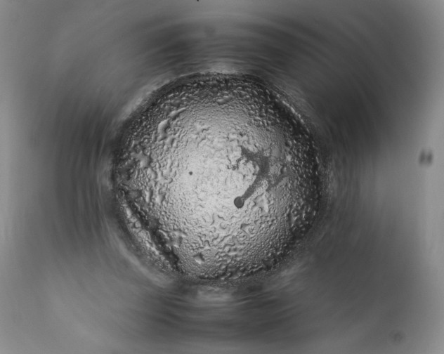 X0000112210347200908211524