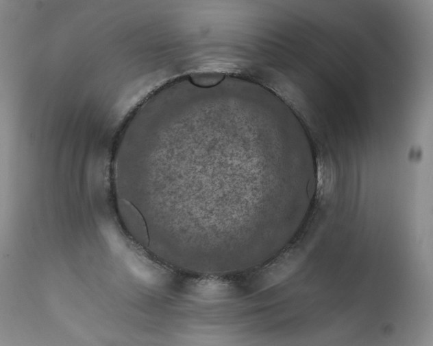 X0000112210348200908211524