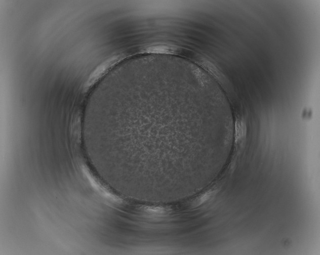 X0000112210349200908211524