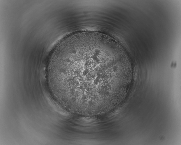 X0000112210351200908211524