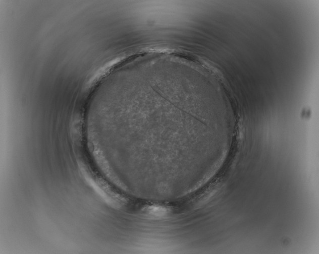 X0000112210352200908211524