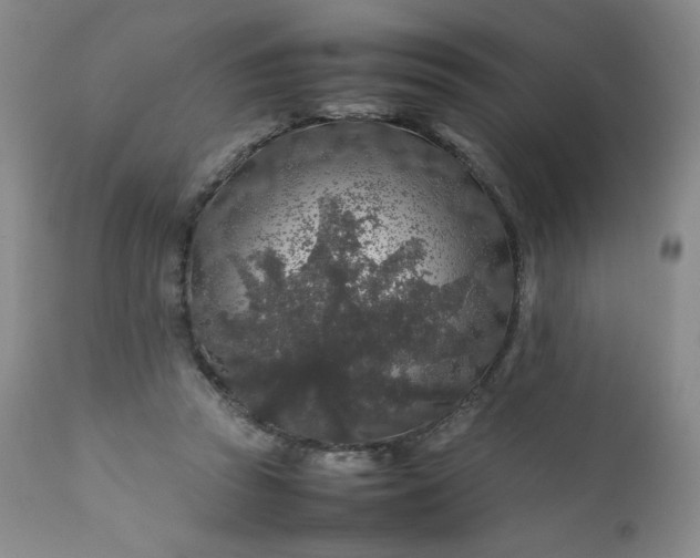 X0000112210353200908211524