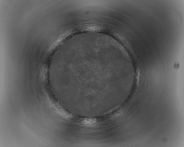 X0000112210355200908211524