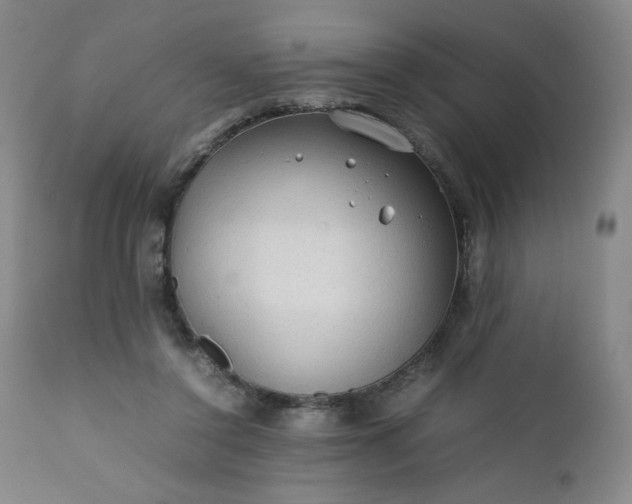 X0000112210356200908211524