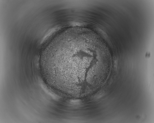 X0000112210357200908211524