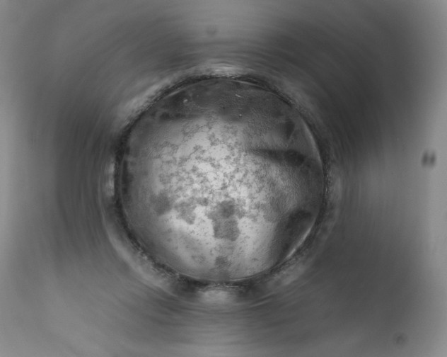 X0000112210358200908211524