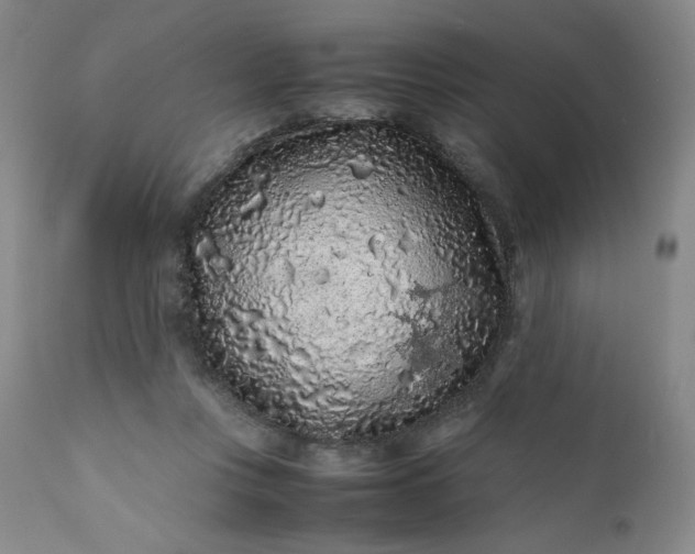 X0000112210359200908211524