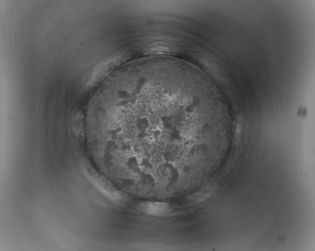 X0000112210361200908211524