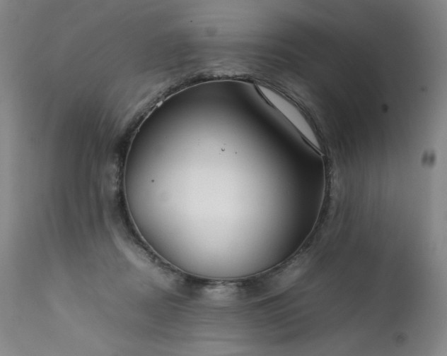 X0000112210362200908211524