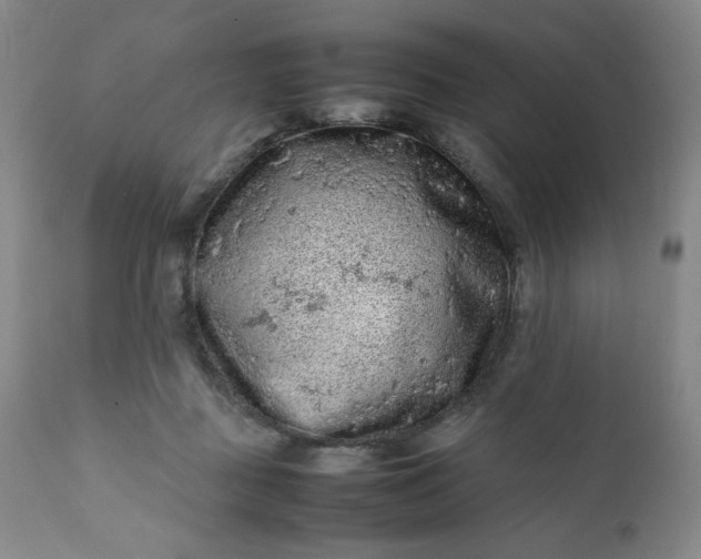 X0000112210363200908211524