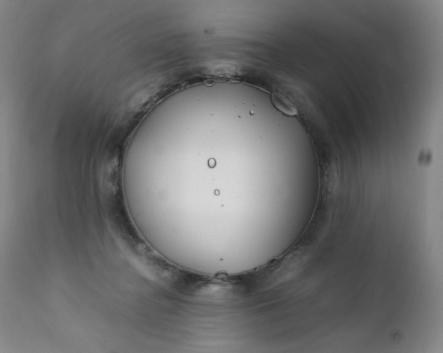 X0000112210364200908211524