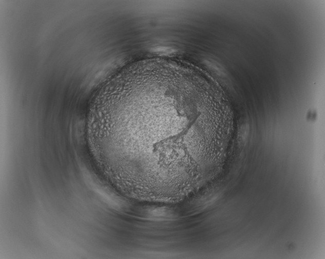 X0000112210365200908211524