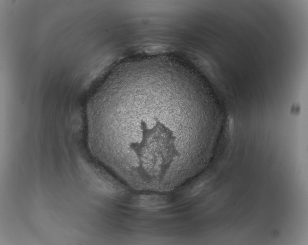 X0000112210367200908211524