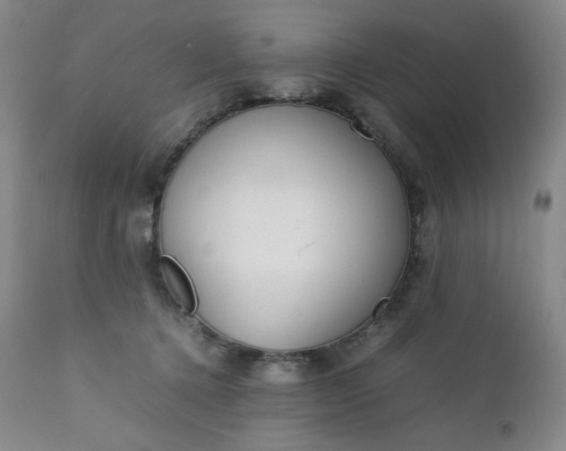 X0000112210368200908211524