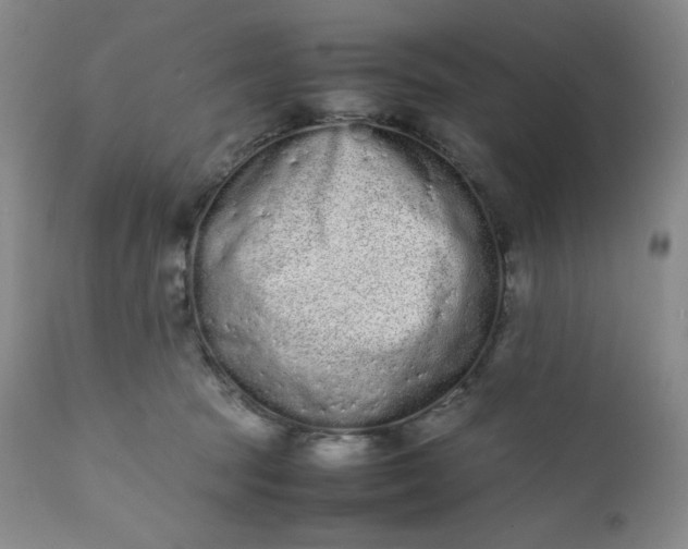 X0000112210369200908211524