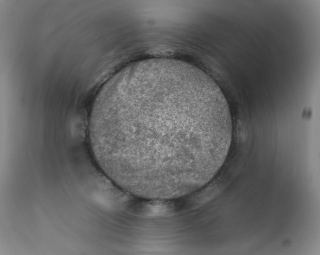 X0000112210370200908211524