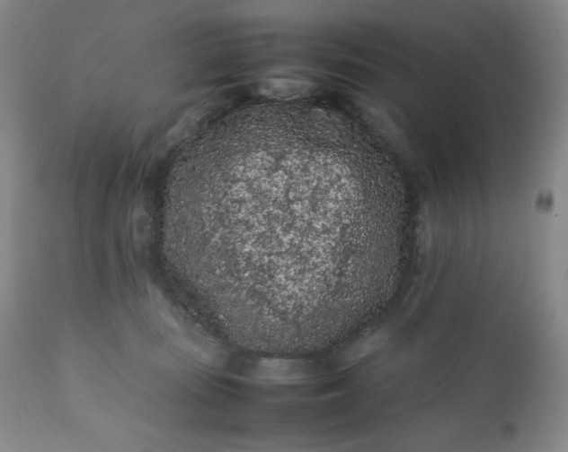 X0000112210371200908211524