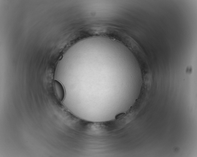 X0000112210372200908211524