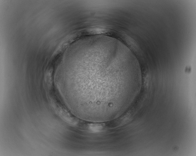 X0000112210373200908211524