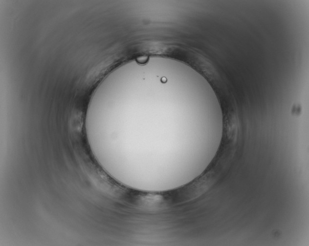 X0000112210374200908211524