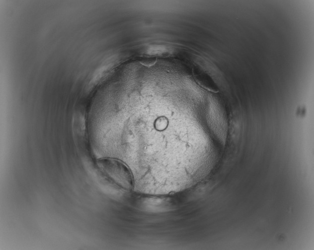 X0000112210375200908211524