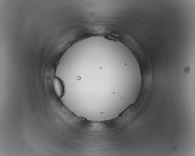 X0000112210376200908211524