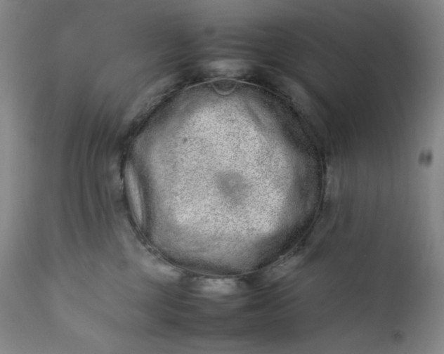 X0000112210377200908211524