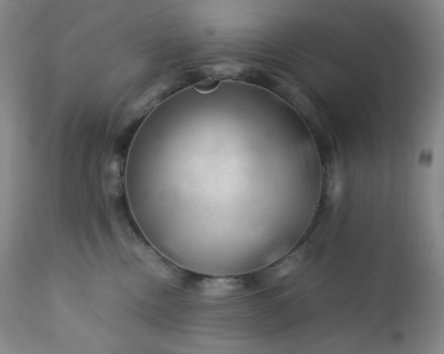 X0000112210378200908211524