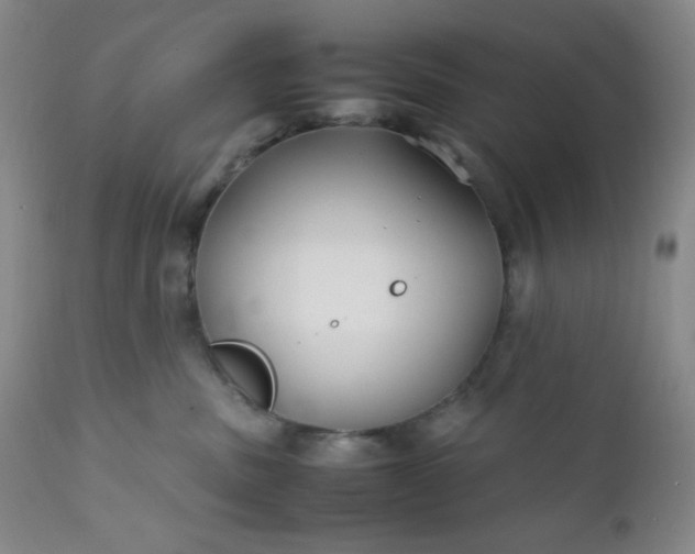 X0000112210379200908211524