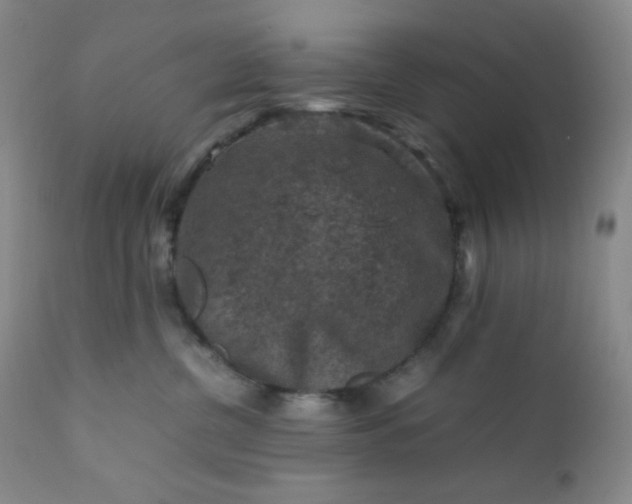 X0000112210380200908211524