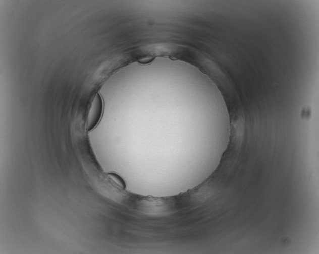 X0000112210381200908211524