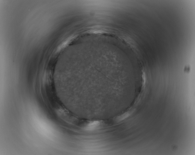 X0000112210382200908211524