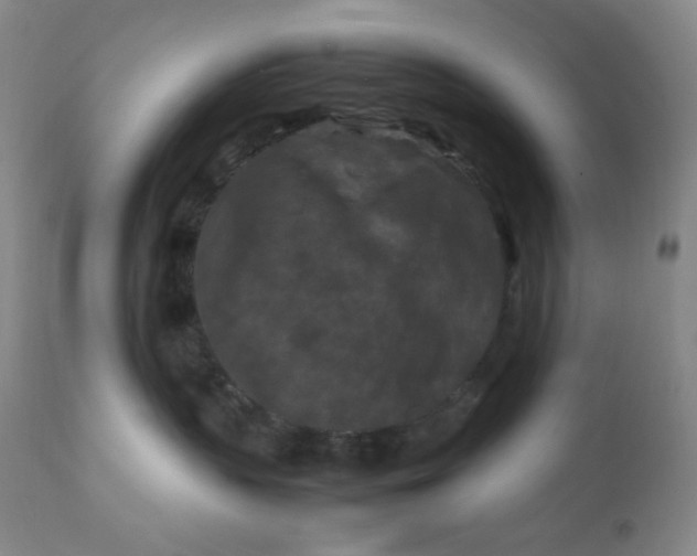 X0000112210383200908211524