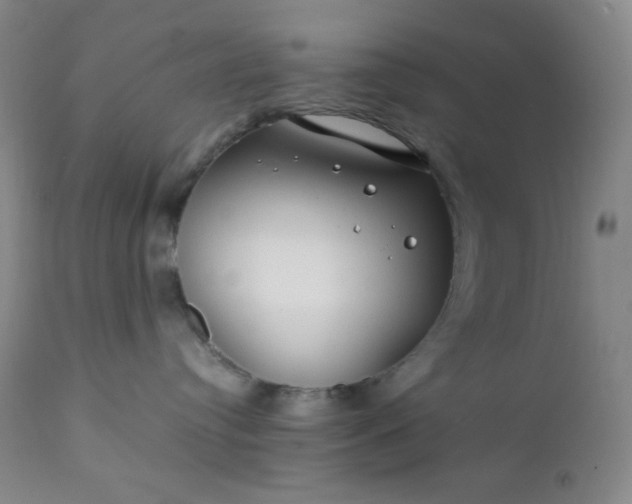 X0000112210384200908211524