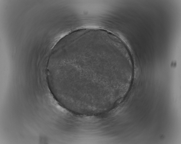 X0000112210385200908211523