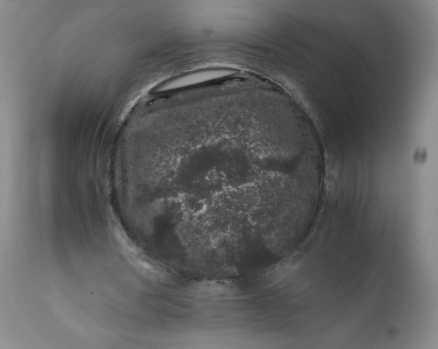 X0000112210386200908211523