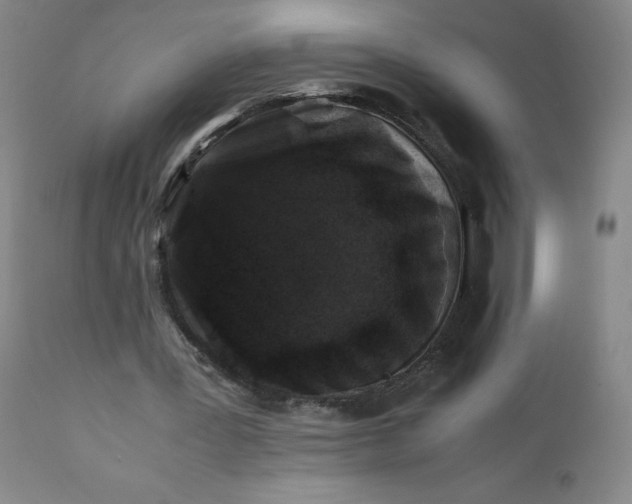 X0000112210387200908211523