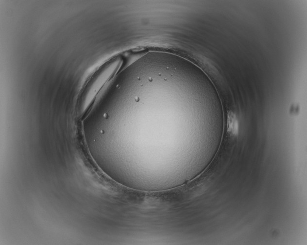 X0000112210388200908211523