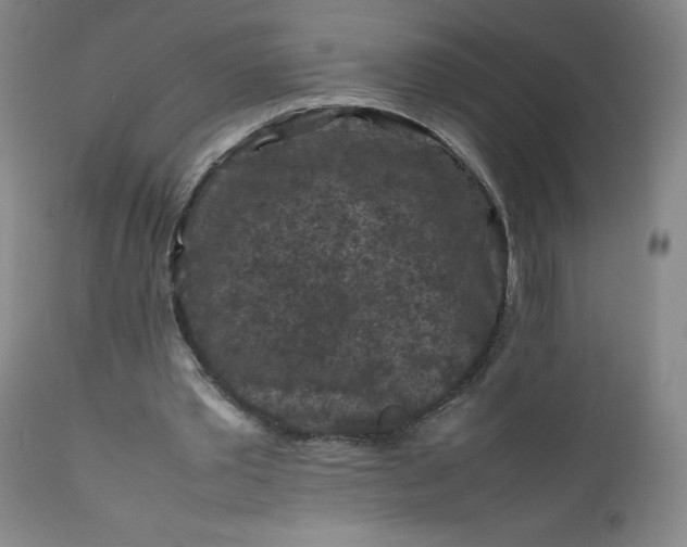 X0000112210389200908211523