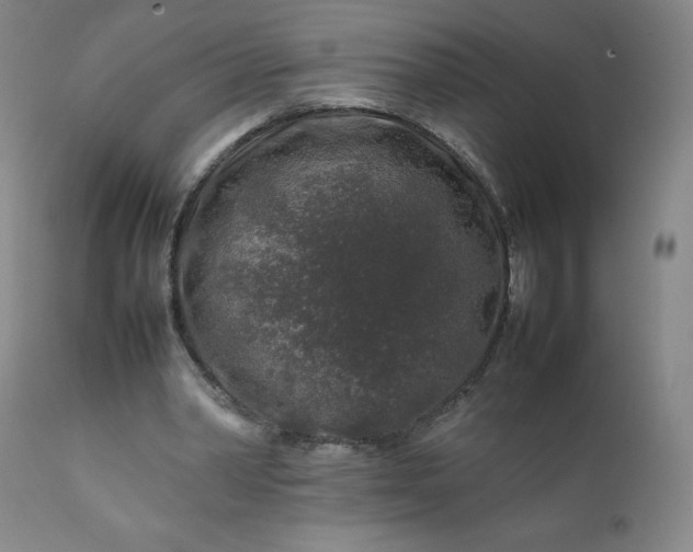 X0000112210390200908211523