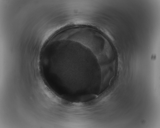 X0000112210391200908211523