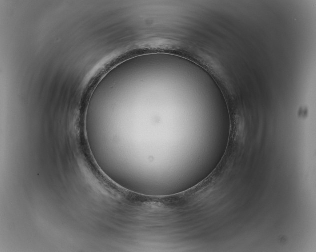 X0000112210392200908211523