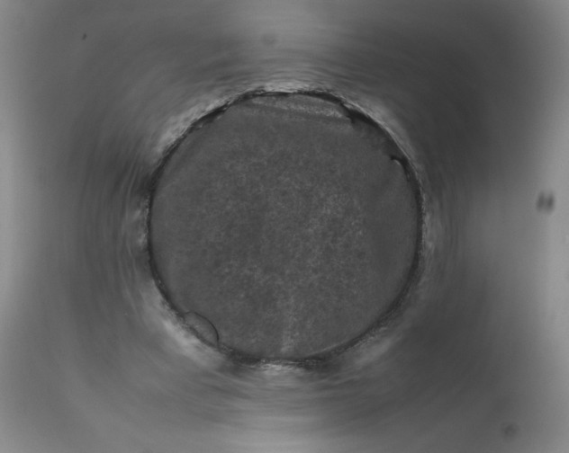 X0000112210393200908211523