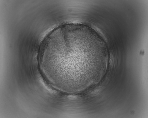 X0000112210394200908211523