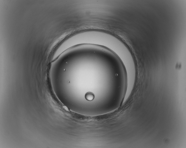 X0000112210395200908211523