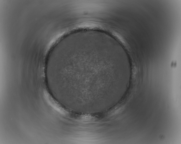 X0000112210399200908211523